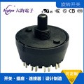 Legion Rotary Power Switch